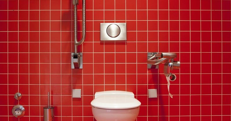 Petit vers noir dans les toilettes : d'où vient-il et comment s'en débarrasser