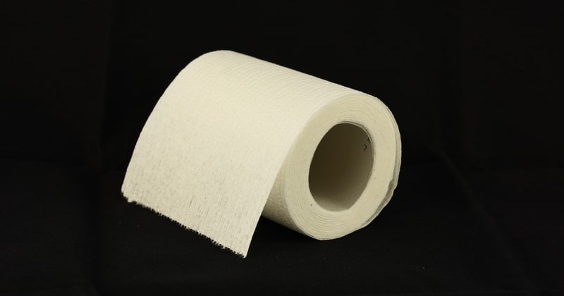 Vers noir dans les toilettes : comment s'en débarrasser définitivement