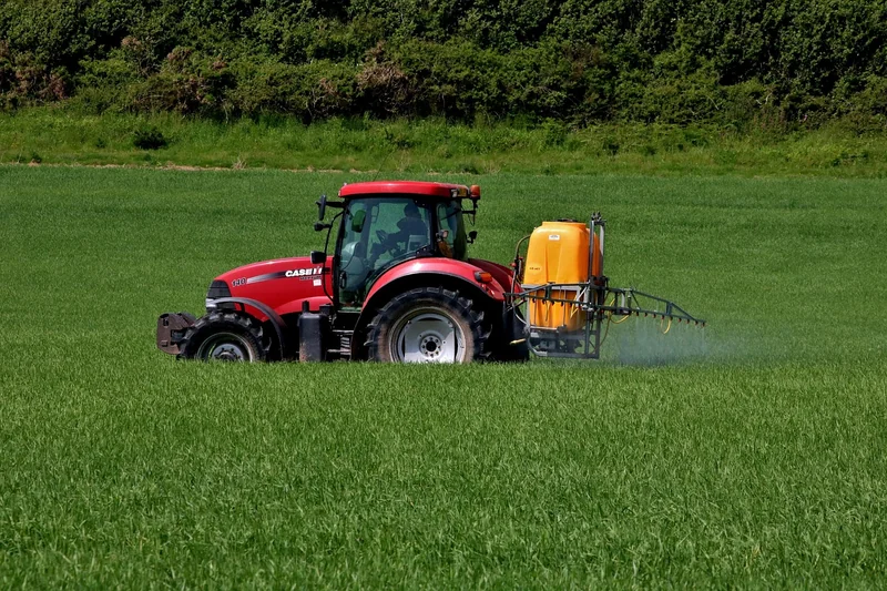 Quel est le produit le plus efficace pour les blattes ? (mon classement après 4 ans de tests)