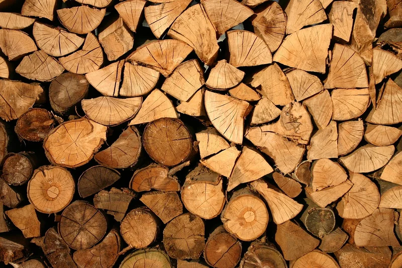 Choisir son bois et ses outils : mon retour d'expérience après 5 composteurs