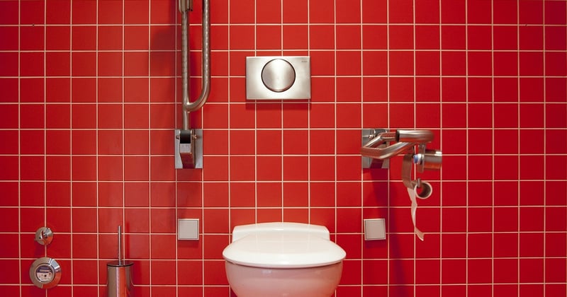 Ver très fin dans les toilettes : faut-il vraiment s'inquiéter ?