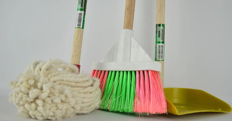 Comment se débarrasser des vers noirs dans les toilettes : le protocole que j'applique maintenant