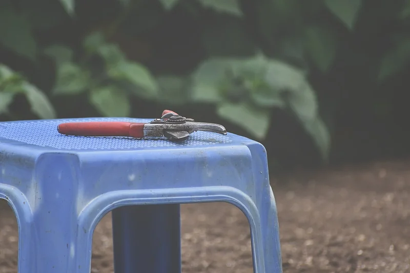 Les sécateurs électriques : une solution pour les grands jardins ?