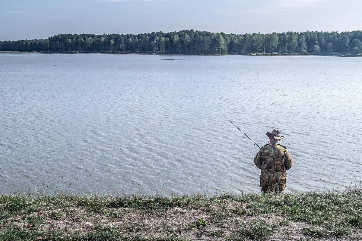 Comment réussir le camouflage de votre piscine tubulaire en 2026 : astuces et idées