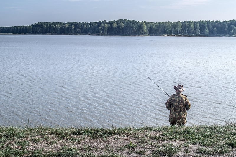 Comment réussir le camouflage de votre piscine tubulaire en 2026 : astuces et idées